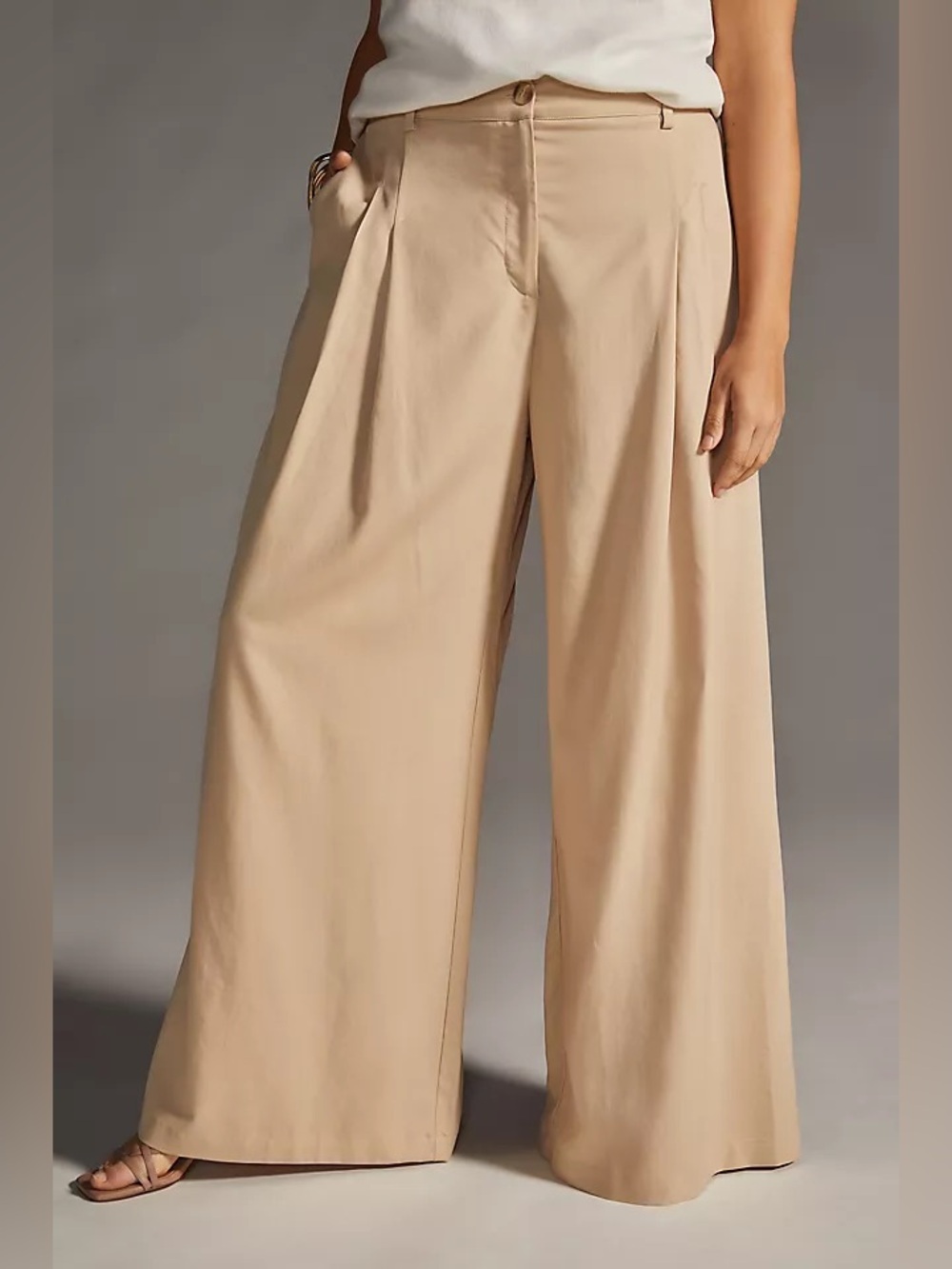 Anthropologie Amadi Pleated Wide Leg Pants Tencel Light Brown XS NWT $160